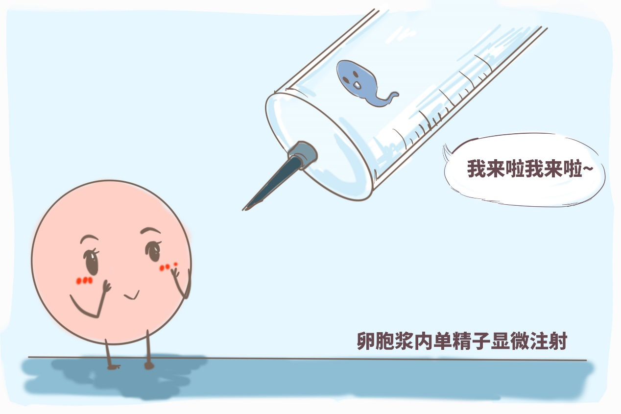 新生儿