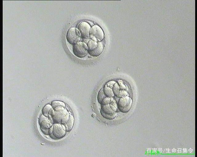 新生儿发烧
