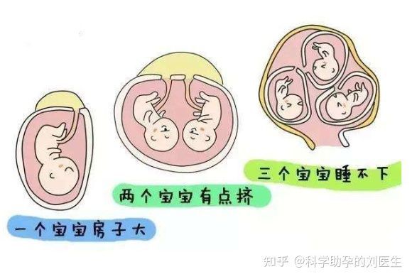 新生儿