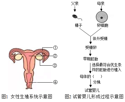新生儿四肢发紫